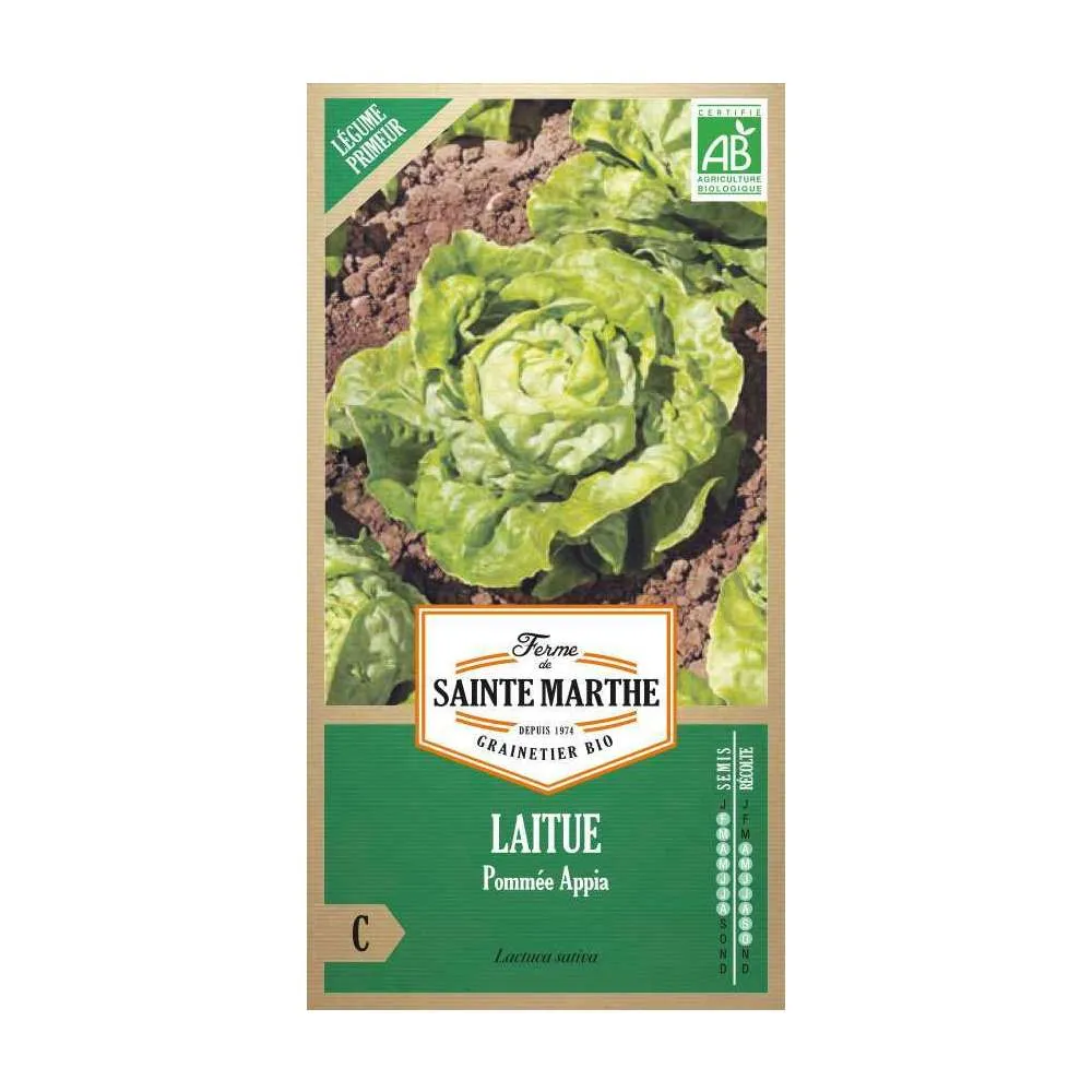 Graines de laitue Pommée Appia Bio en sachet